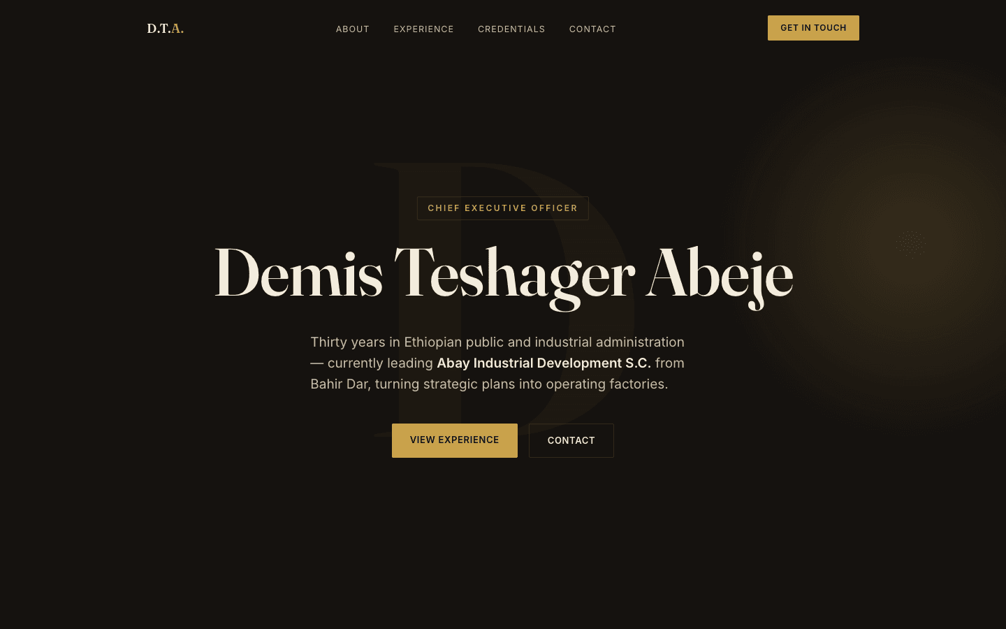 Demis Teshager interface preview