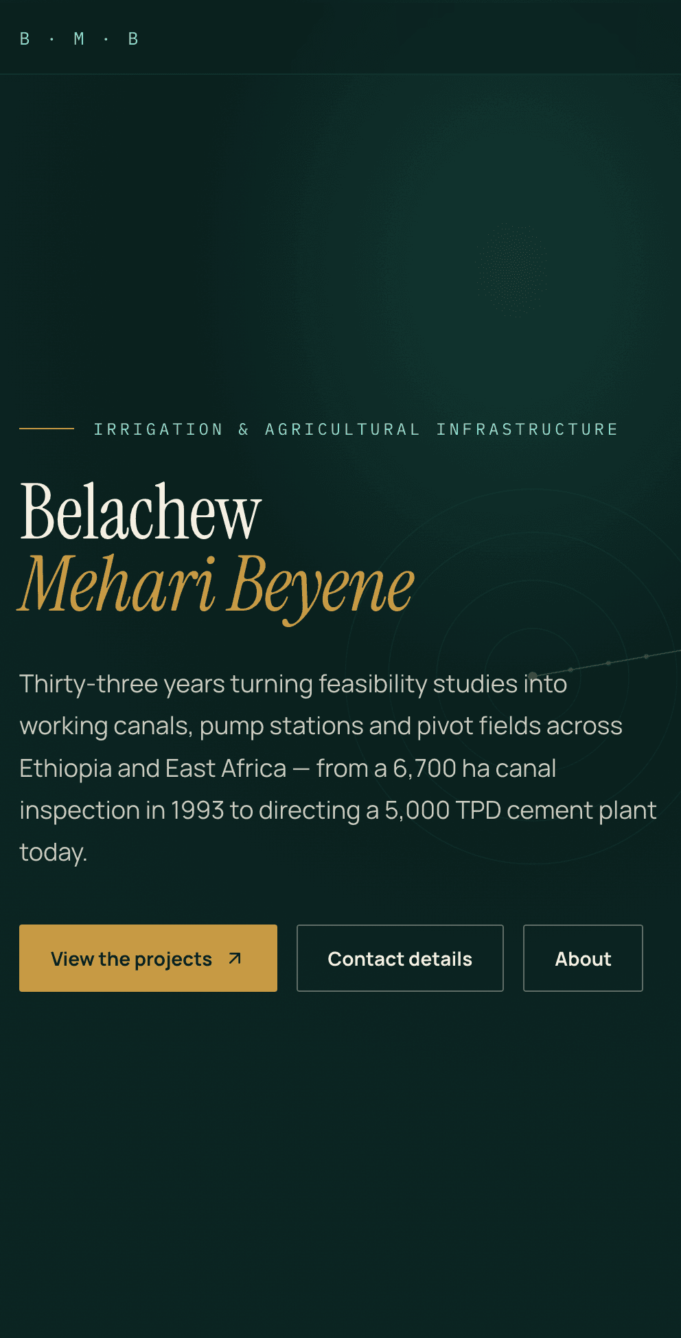 Belachew Mehari mobile preview