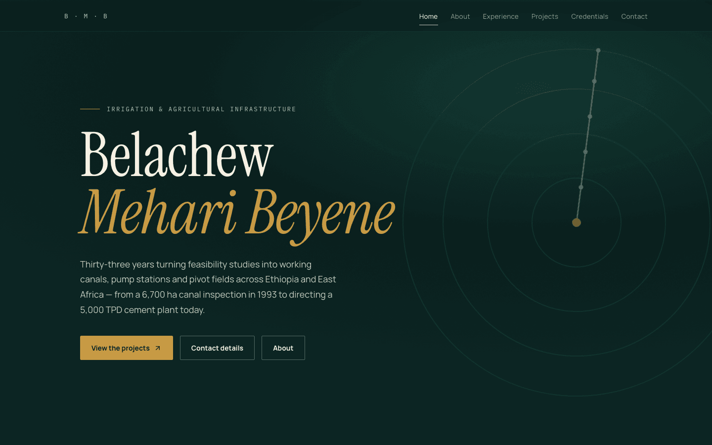 Belachew Mehari interface preview
