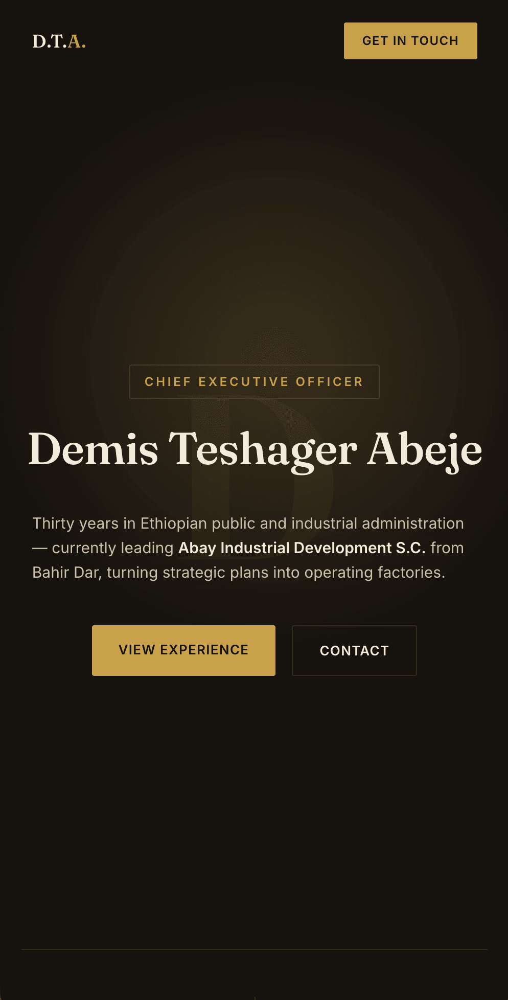 Demis Teshager mobile preview